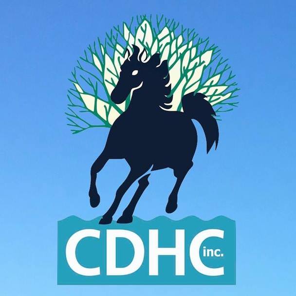 Currumbin District Horse Club Dressage Dressage Queensland